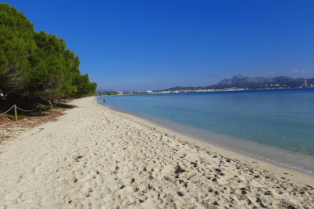 Apartment Francesca Beach With Pool In Playa De Alcudia Alcúdia Extérieur photo